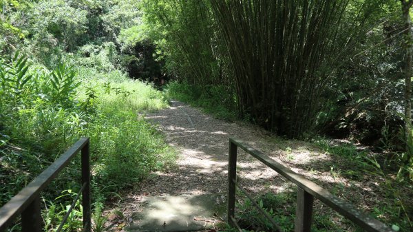 澀水森林步道登山健行趣(步道)2259828