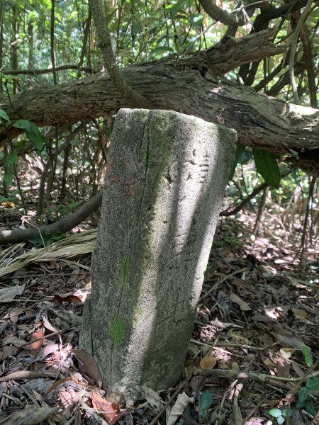 20250913苗栗三湖山2890823