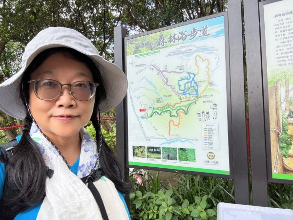 桃園五酒桶步道走南崁山-五酒桶山-山鼻山-獅仔頭山2847988