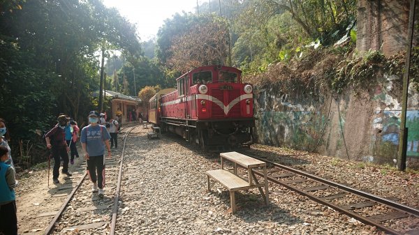 20210228獨立山大籠頂步道1618520