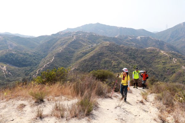 HK - 青山復地1482583