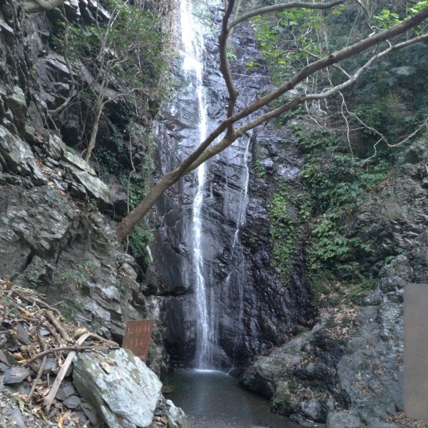 百岳練習場➡️⛰️尾寮山糜爛行824190