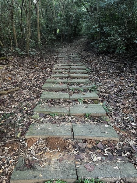 苗栗三員縱走2942828