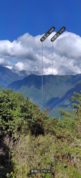 沙里仙林道、沙里仙溪、同富山/埔沙山、東埔山、阿毛巨木2812456