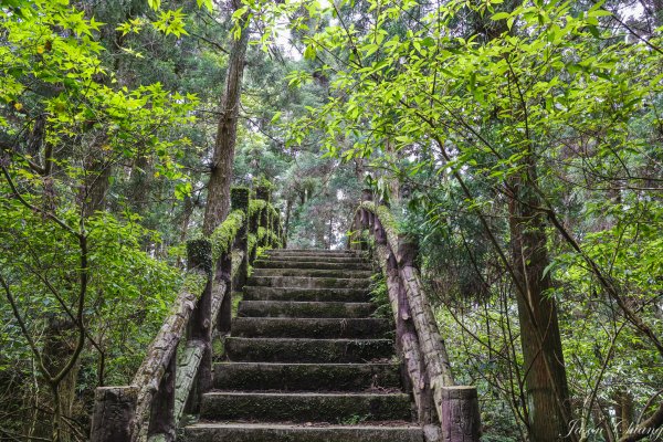 [桃園]東眼山2143432