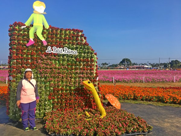 2019新社花海2019/11/12734656