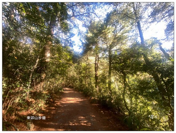 東卯山、東卯山西峰、東卯山西南峰 連走2932780