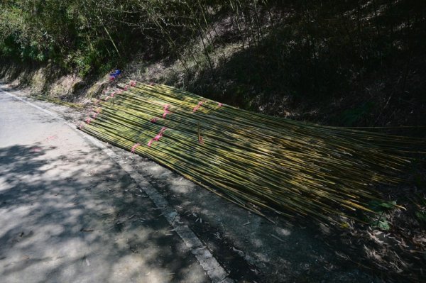 20250228西九份坑山-九份坑山-觀日峰-新厝山-火炎山-美艷山2722407