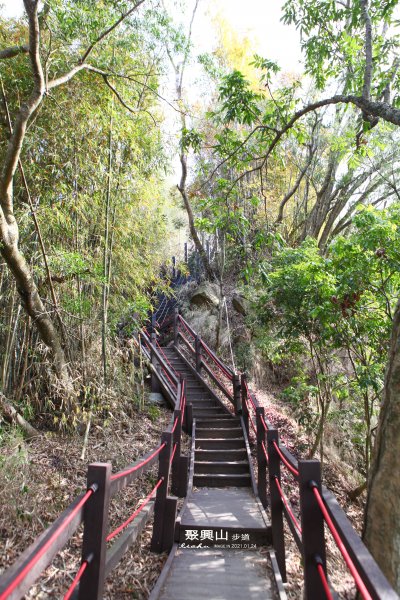 新田登山步道~聚興山1406420