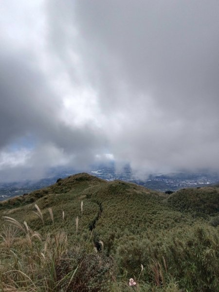 走遍陽明山2301759