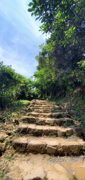 2024-04-20南子吝登山步道2484617