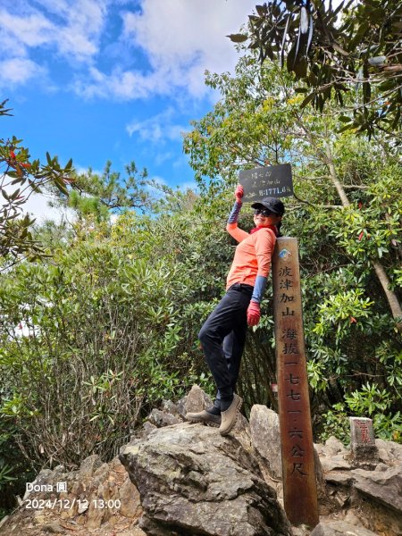 【谷關七雄】波津加(H1771.6m)肉腳配速成功2670488