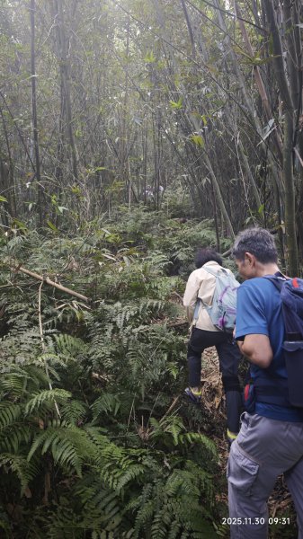 2025-1130 新店三(二)潭縱走2966901
