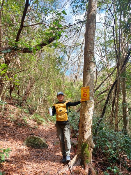 【苗栗泰安】中級山的大霸尖山。 虎山步道2779601