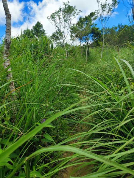礁溪車站-跑馬古道-迴音谷瀑布-鵲子山2826650