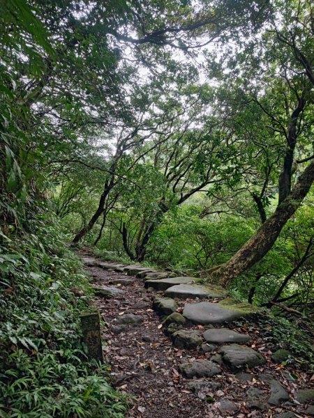 絹絲瀑布步道 - 走遍陽明山尋寶任務2268817