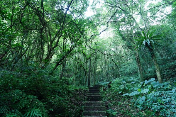 新北 石碇 皇帝殿東峰2628212