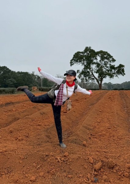 20260127三通嶺山.三義山(大桁茂山).慈濟山.大坪山大O走2990019