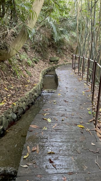 紗帽山半嶺水圳步道2650053