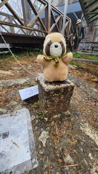 111/12/18藤枝森林園區東藤枝山、藤枝山1979552