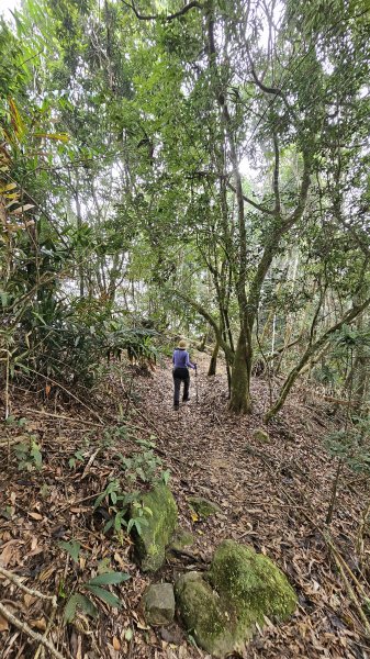 【稜線瘦如刀鋒，山形橫亙如屏風】解鎖第55座小百岳 #045 大橫屏山2932860