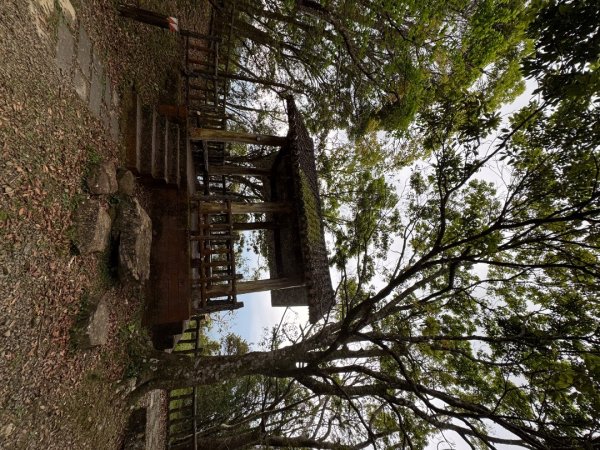 2025/04/04小百岳第022「東眼山」2753260