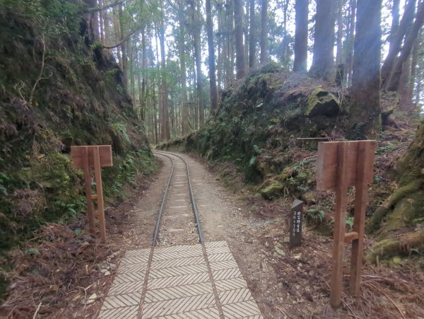 2026.02.14－特富野古道3013710