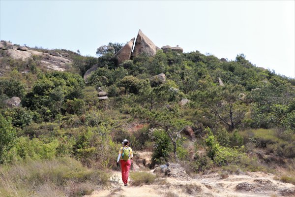 HK - 九徑山1499582