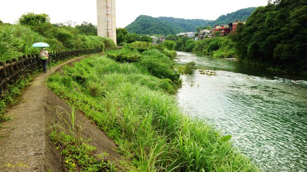 【淡蘭中路】翻山越嶺的茶商之道981299