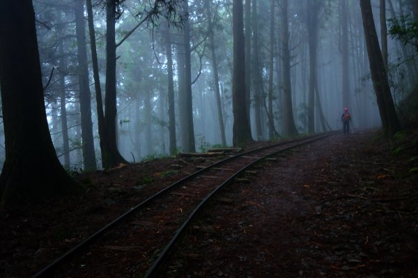 迷霧幽幽~特富野古道691954