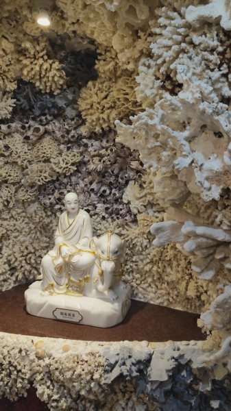 石門珊瑚貝殼廟3051186