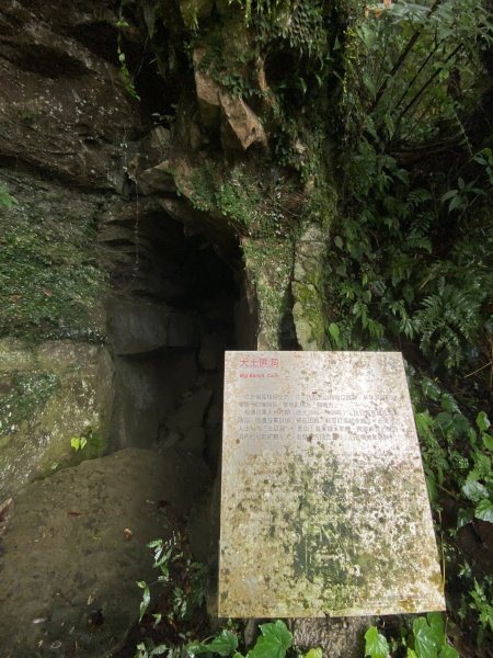 尋覓雨霧中的獅子|獅仔頭山|Mt.Shizaitou|隘勇線|峯花雪月2385006