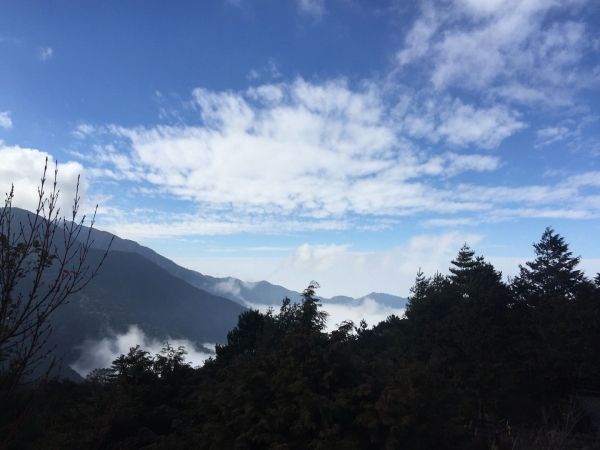 觀霧～雲霧步道235238