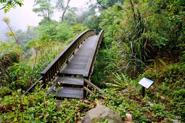 阿里山豐山村石盤谷672369