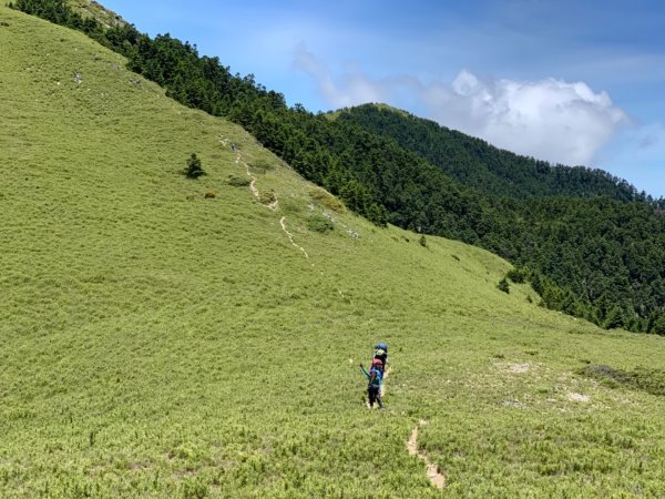 逆走雪山西稜下志佳陽1041254