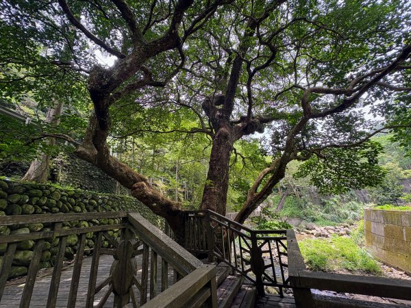 四寮溪生態步道2828538