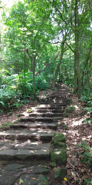 七星山公園夢幻湖509260