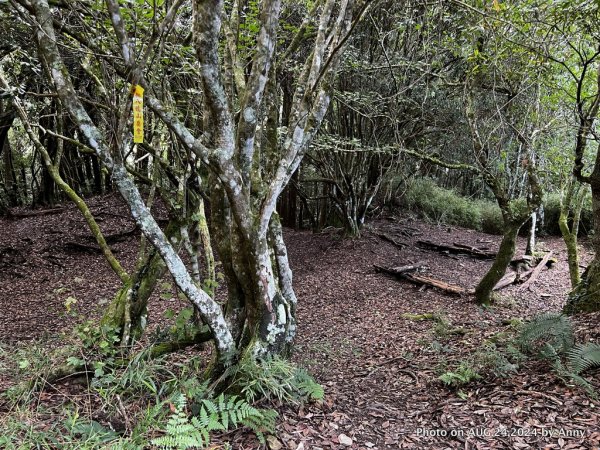 民都有山就是漂亮的夏天冷氣房2582230