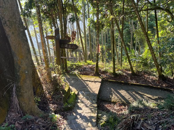 [嘉遊好步道．來嘉走走-10/10] 2024_1013 獨立山國家步道2627790