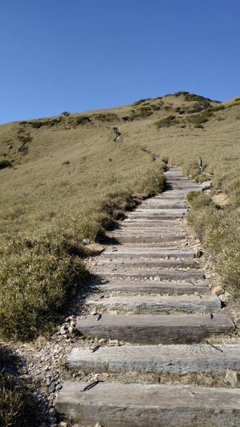 合歡山東峰891809