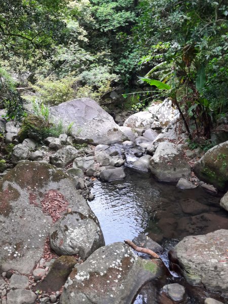 20230722 頂山石梯嶺縱走坪頂古圳，聖人瀑布2227223