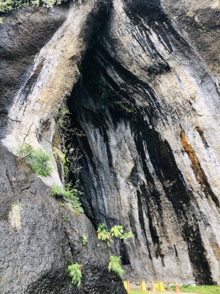 1090220八仙洞.大石鼻山846976