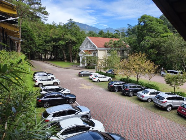 [百山百鳥尋旅-07/15] 2025_0831 八仙山國家森林遊樂區步道群2875963