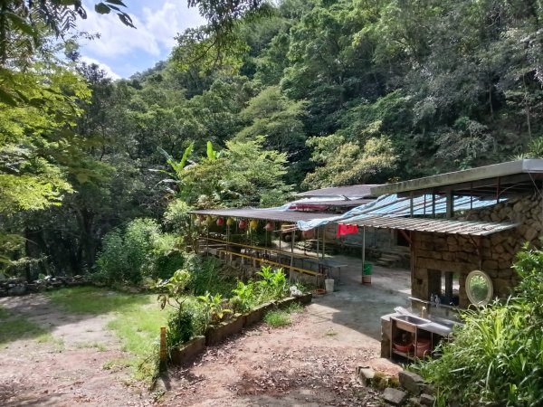 雙溪區大埤古道左線+柑腳山+570峰+大埤格+大埤古道右線O型2828781