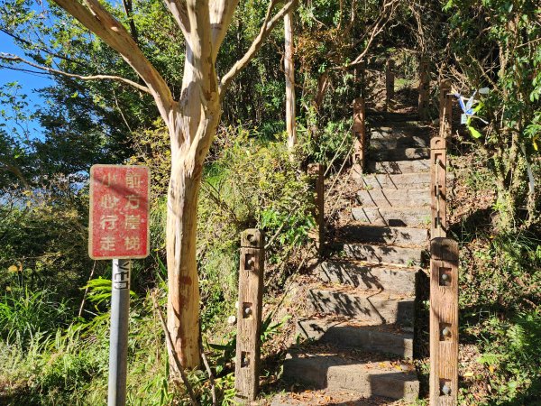 小百岳No.20⛰獅仔頭山2917931