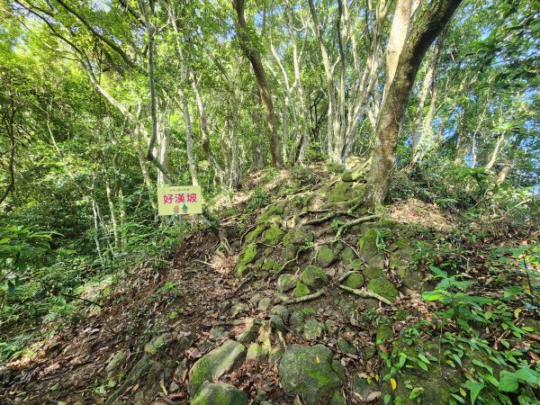 20240915關西玉山赤柯山東獅頭山馬福山O型2654696