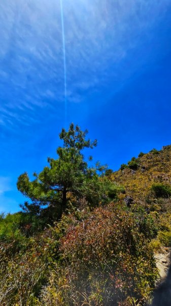 112.04.16 玉山前峰2123713