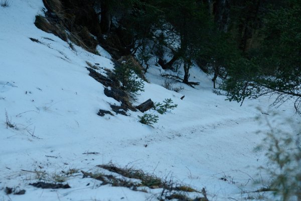 踏入冰雪聖殿-冬季大霸群峰2422941