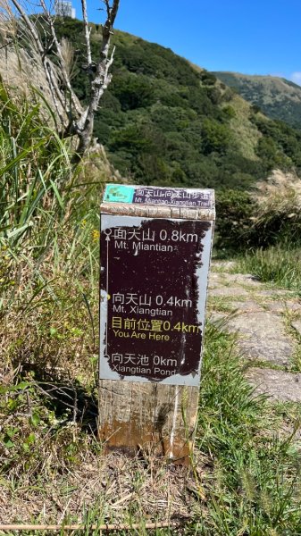 淡水興福寮古道2923334