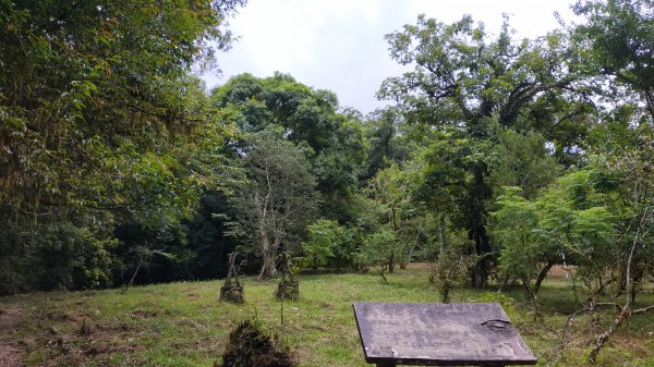 福山植物園1091017